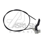 ASAM-SA 30631