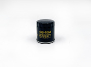 BIG FILTER GB1064