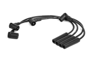 Cargen AX10710