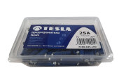 TESLA FC25A100