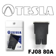 TESLA FJ0880A