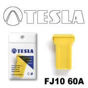 TESLA FJ1060A
