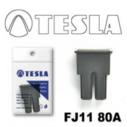 TESLA FJ1180A