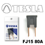 TESLA FJ1580A
