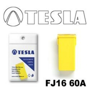 TESLA FJ1660A