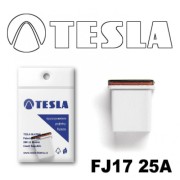 TESLA FJ1725A