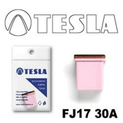 TESLA FJ1730A